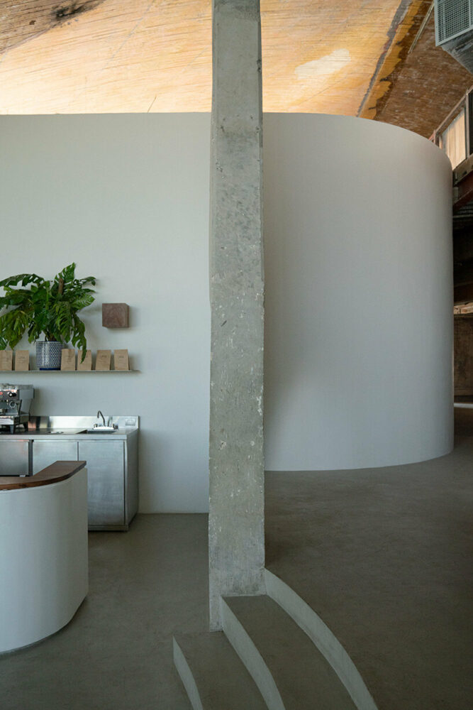 image ©José Ignacio Vargas