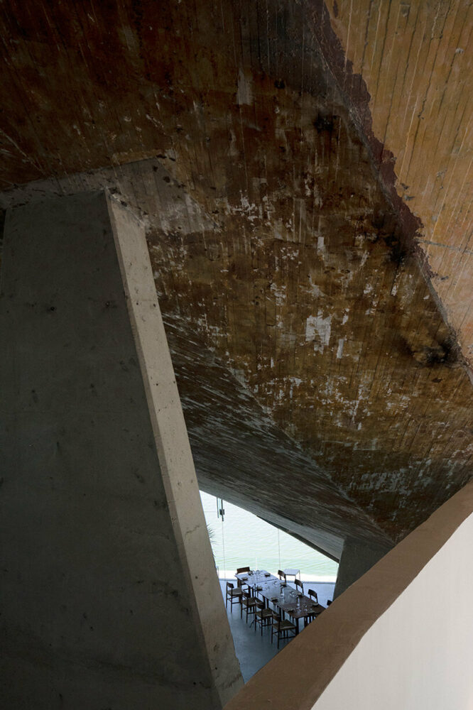 image ©José Ignacio Vargas