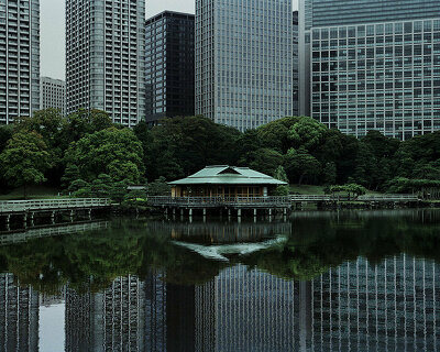 discoveries arise as fascinating japanese scenery is captured