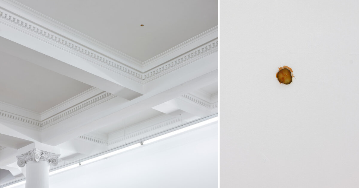 artist slapped a mcdonald’s pickle on a ceiling & now it’s selling for