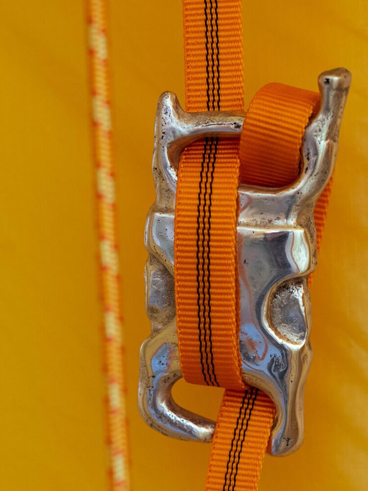 image © Alice Mesguich