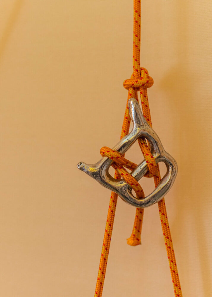 image © Alice Mesguich