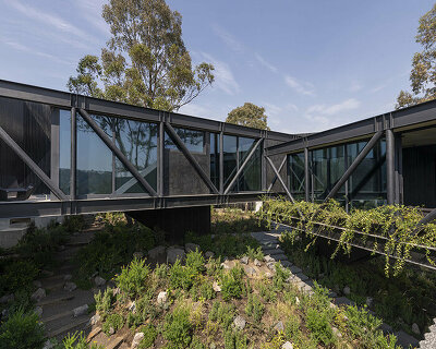 rojkind arquitectos' casa pasiddhi is a dark, introverted dwelling with a sunny garden