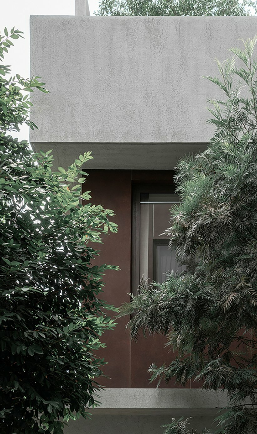 a scene for nature