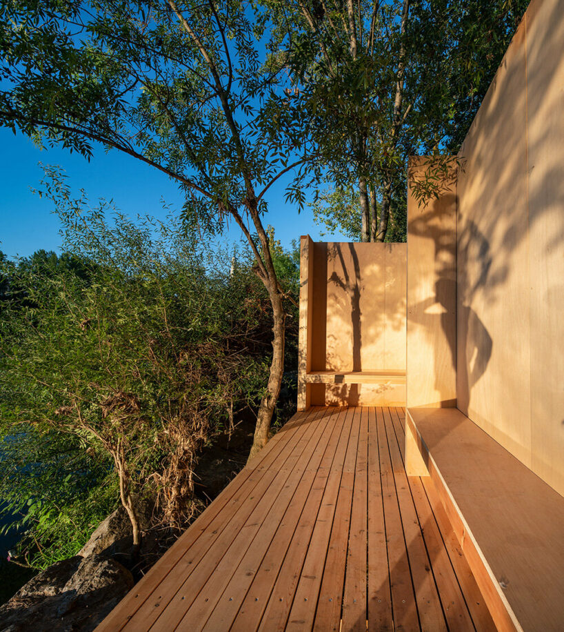 the sun rays fall on the trees and the wooden surface creating an astonishing play of shadows