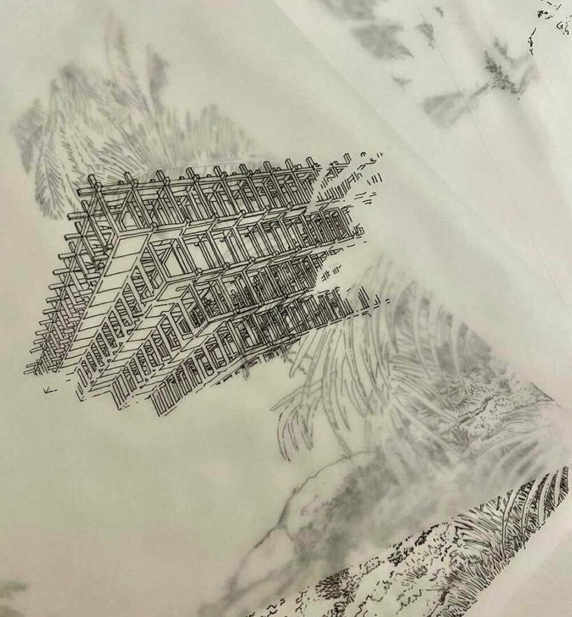 image by Francisco Silva and Barbara Stallone