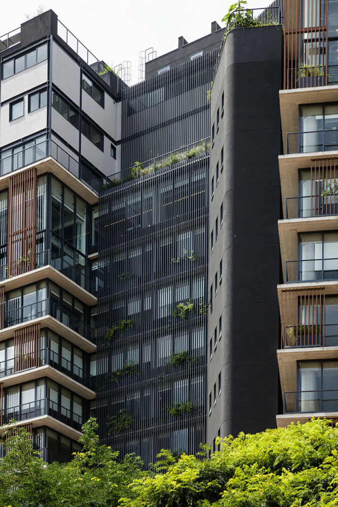 image © Ricardo Bassetti