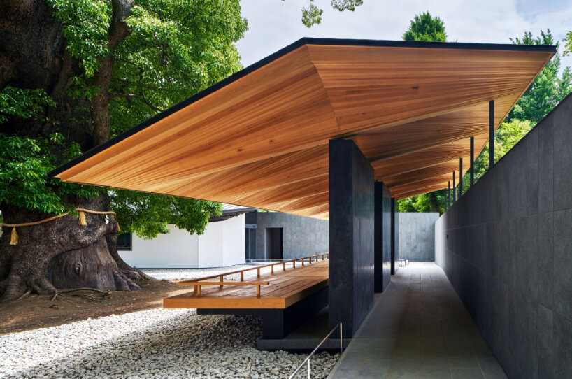 hiroshi nakamura’s ueno toshogu shrine juyosho in japan revives felled ginkgo tree as roof