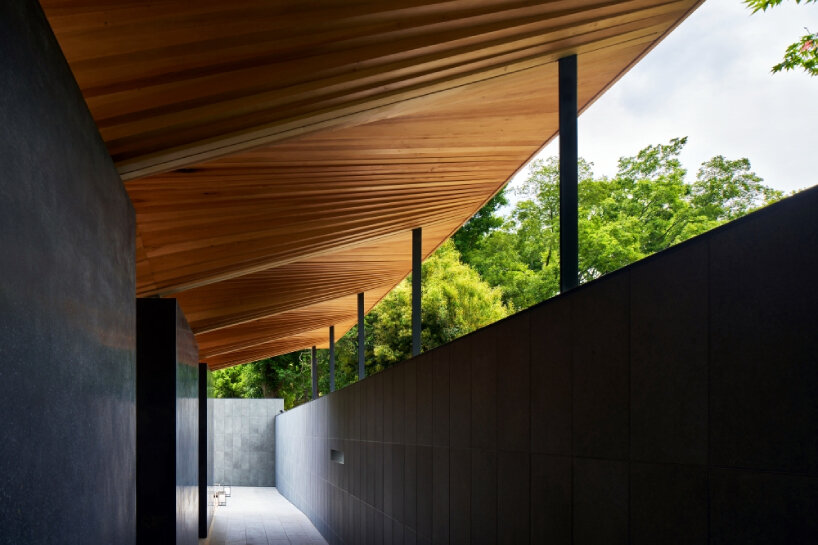 hiroshi nakamura’s ueno toshogu shrine juyosho in japan revives felled ginkgo tree as roof