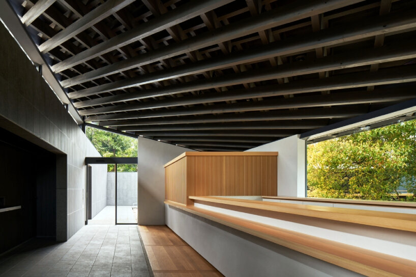 hiroshi nakamura’s ueno toshogu shrine juyosho in japan revives felled ginkgo tree as roof