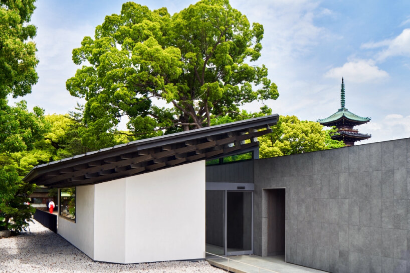 hiroshi nakamura’s ueno toshogu shrine juyosho in japan revives felled ginkgo tree as roof