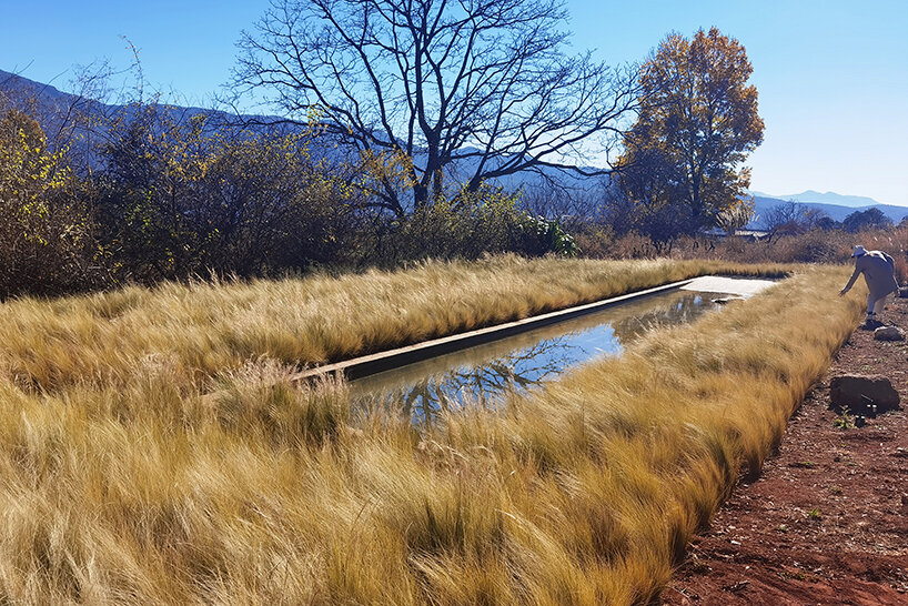 rectangular pond | image courtesy of Z'scape