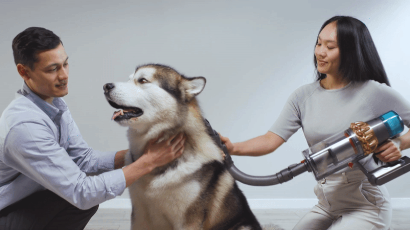 dyson pet grooming kit
