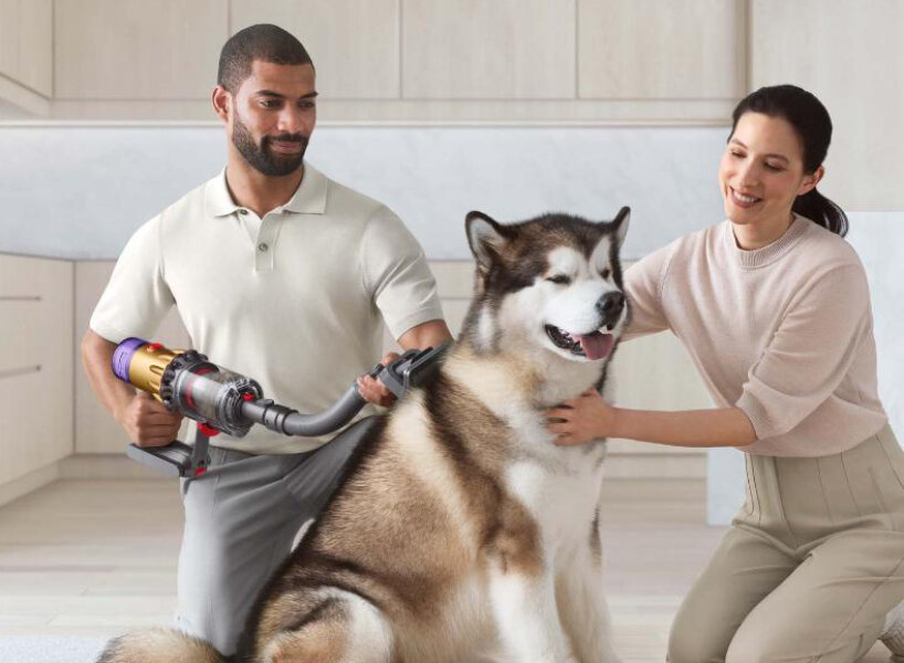 dyson pet grooming kit