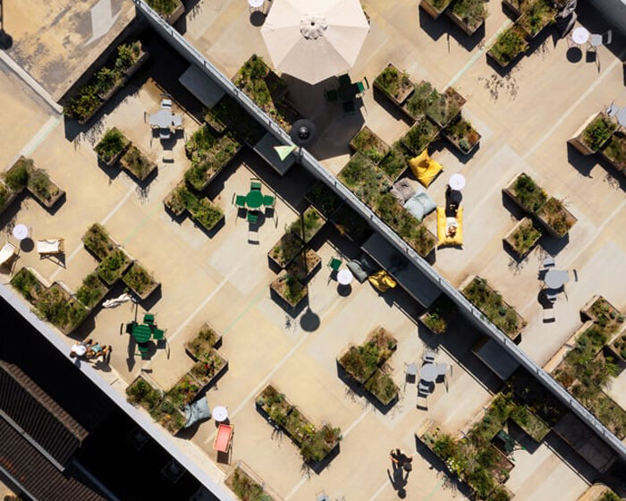 selvatico transforms car park rooftop into lively urban garden in the heart of heerlen