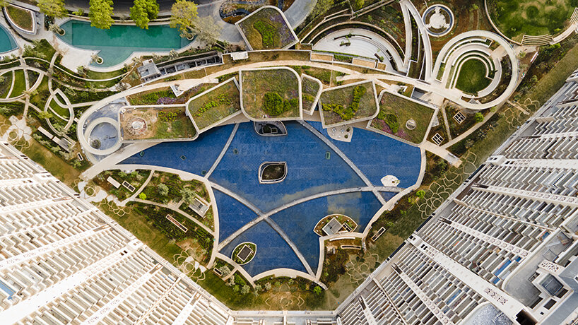 camellias club india