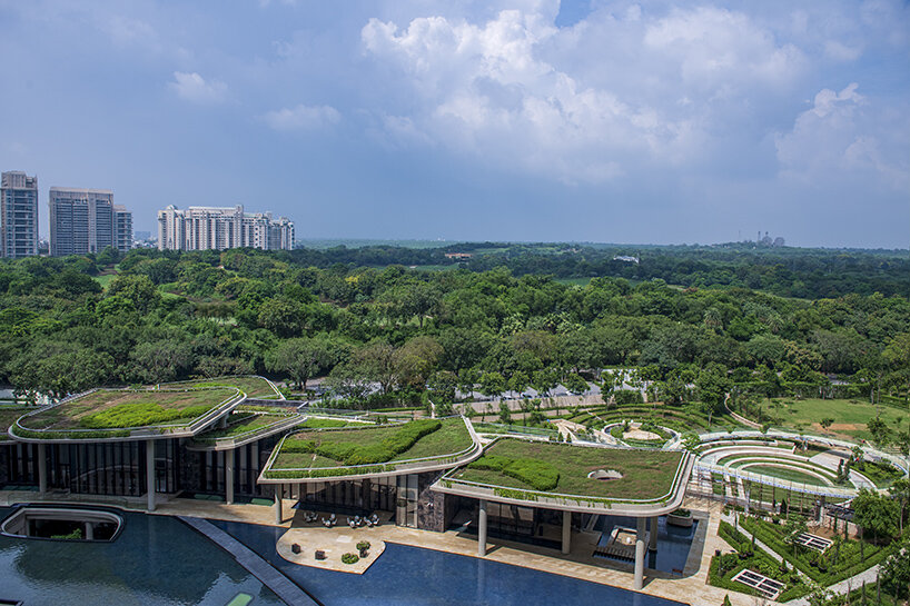 camellias club india