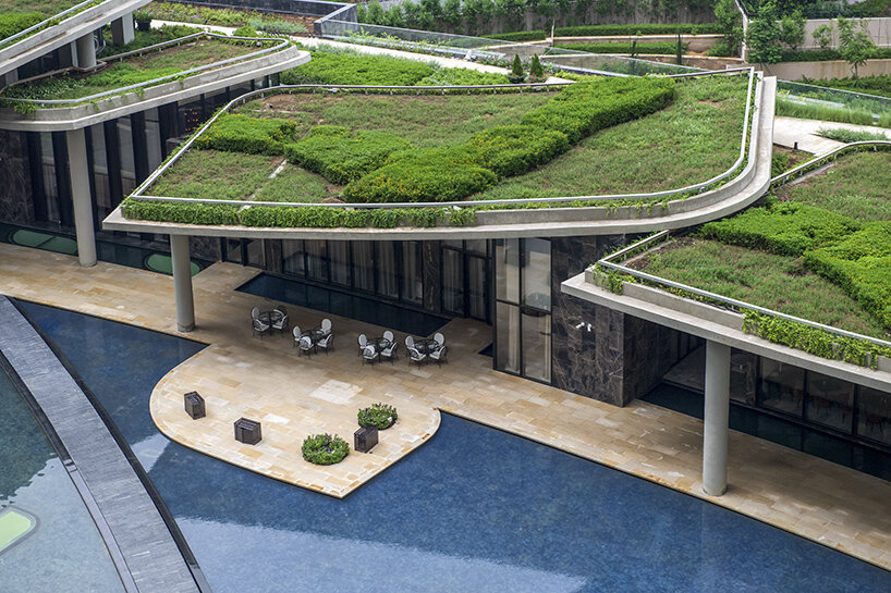 camellias club india