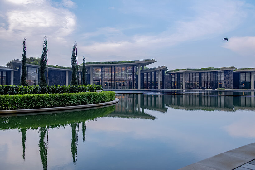 camellias club india