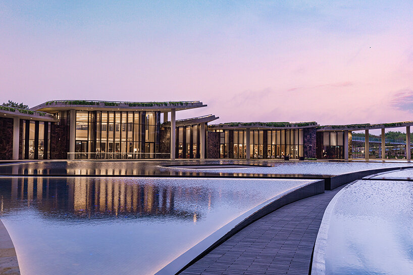 camellias club india