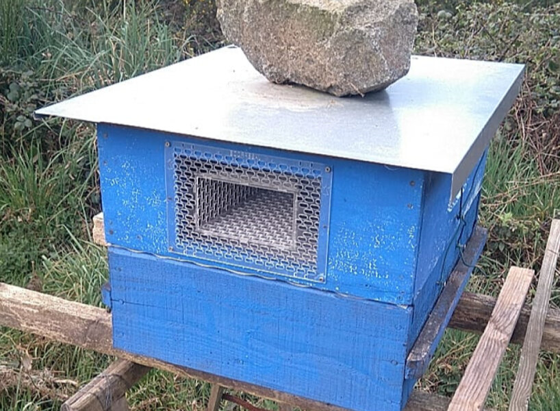 jabeprode cage asian hornets