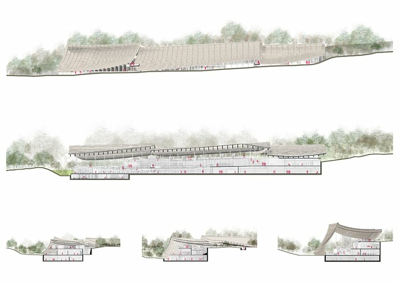 longitudinal + transversal sections