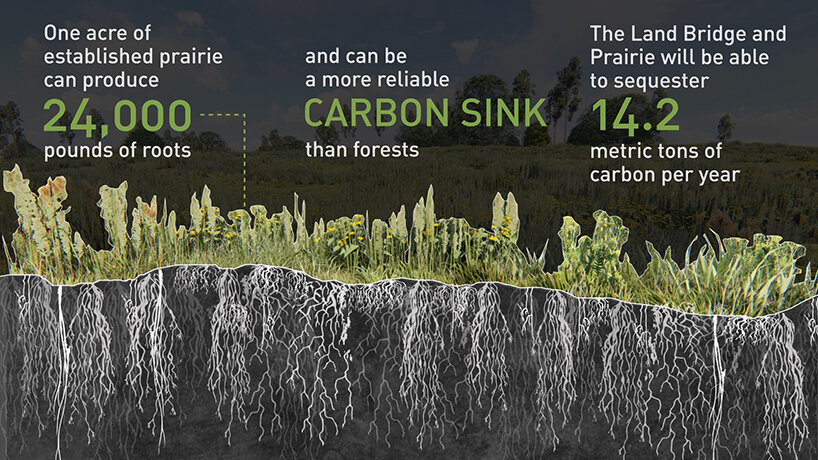 prairie habitat diagram