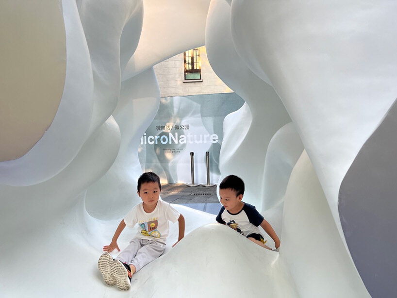 micronature ping jian EID