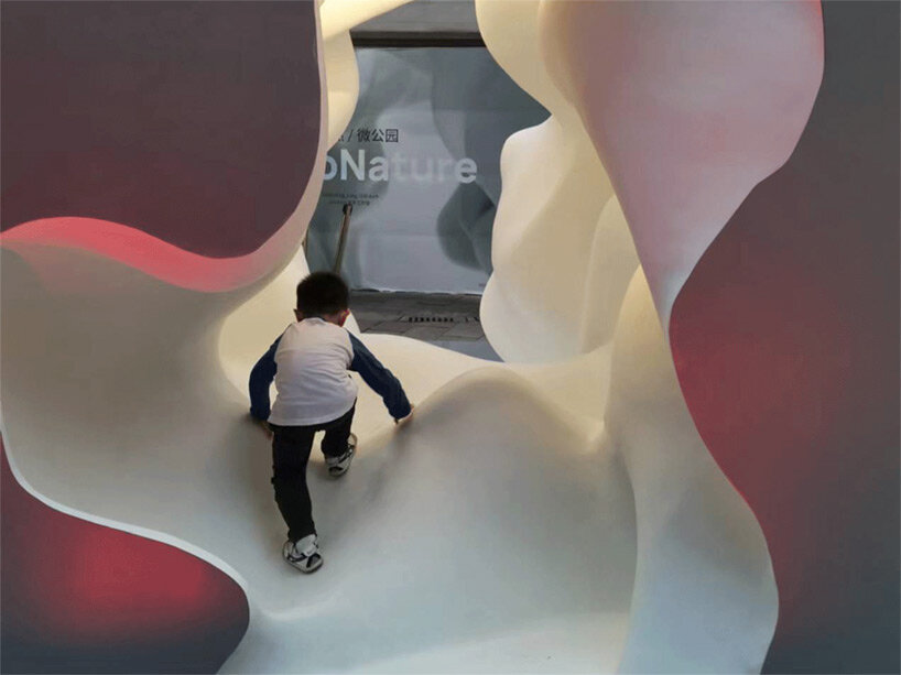 micronature ping jian EID