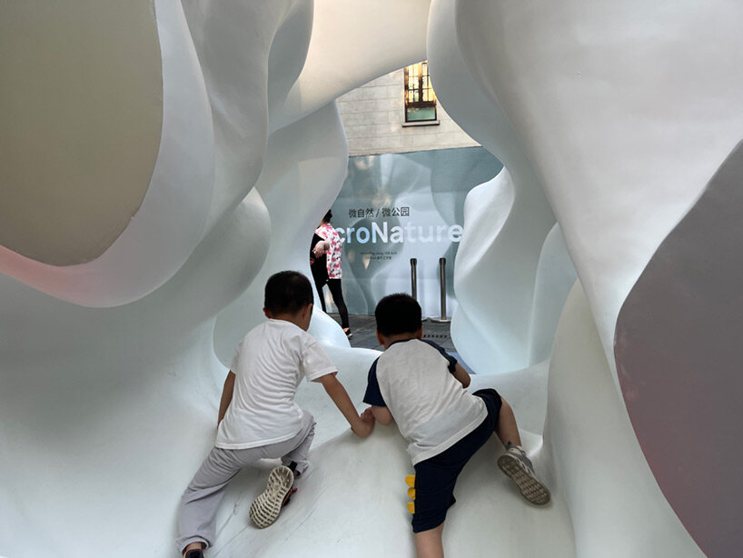 micronature ping jian EID