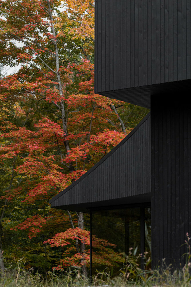 image © Maryse Béland