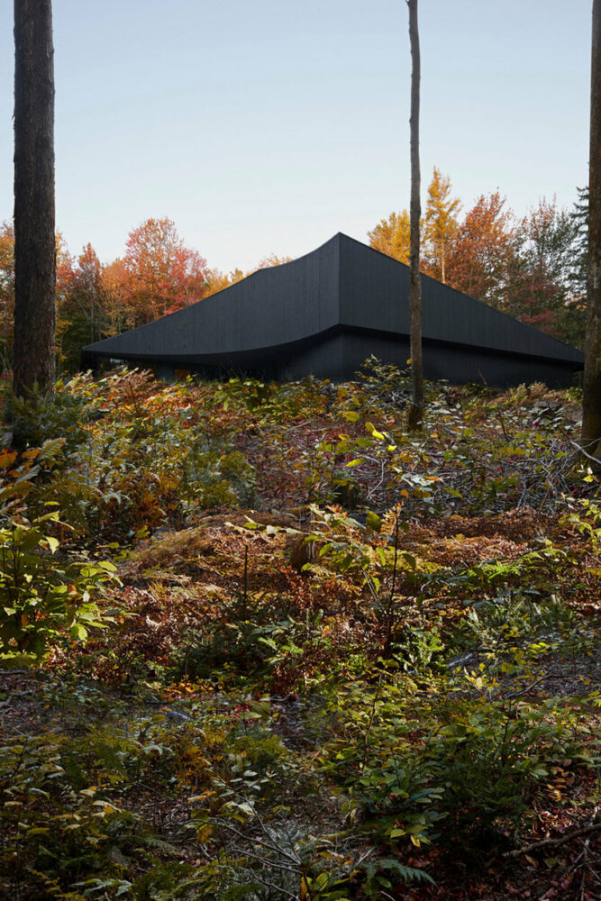 image © Maxime Brouillet