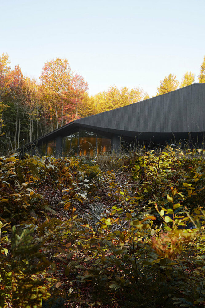 image © Maxime Brouillet