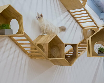 wooden ladders + tiny houses zigzag through parallect design's cat café in shanghai