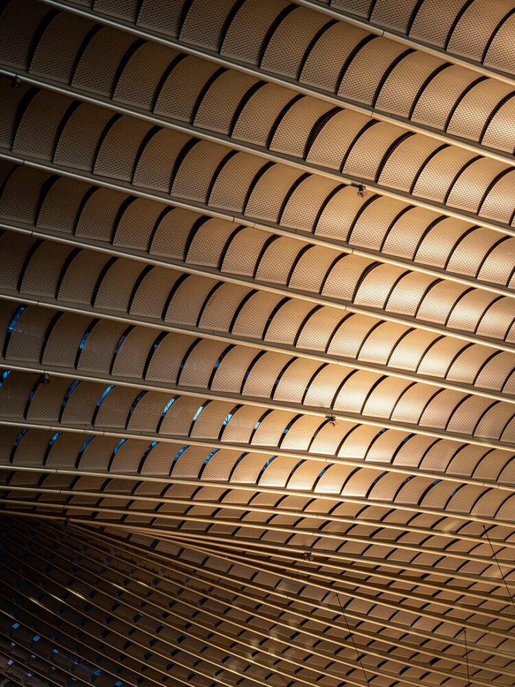 image © Edmon Leong