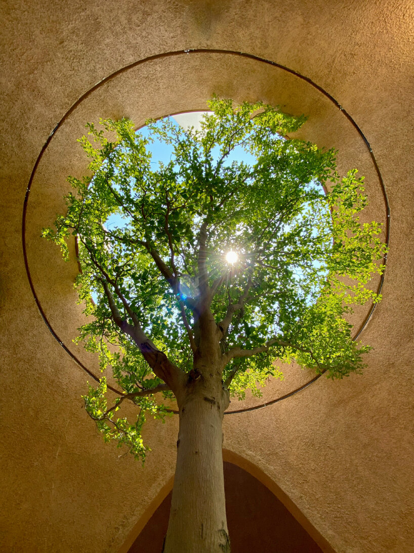 austrian pavilion expo 2020 dubai