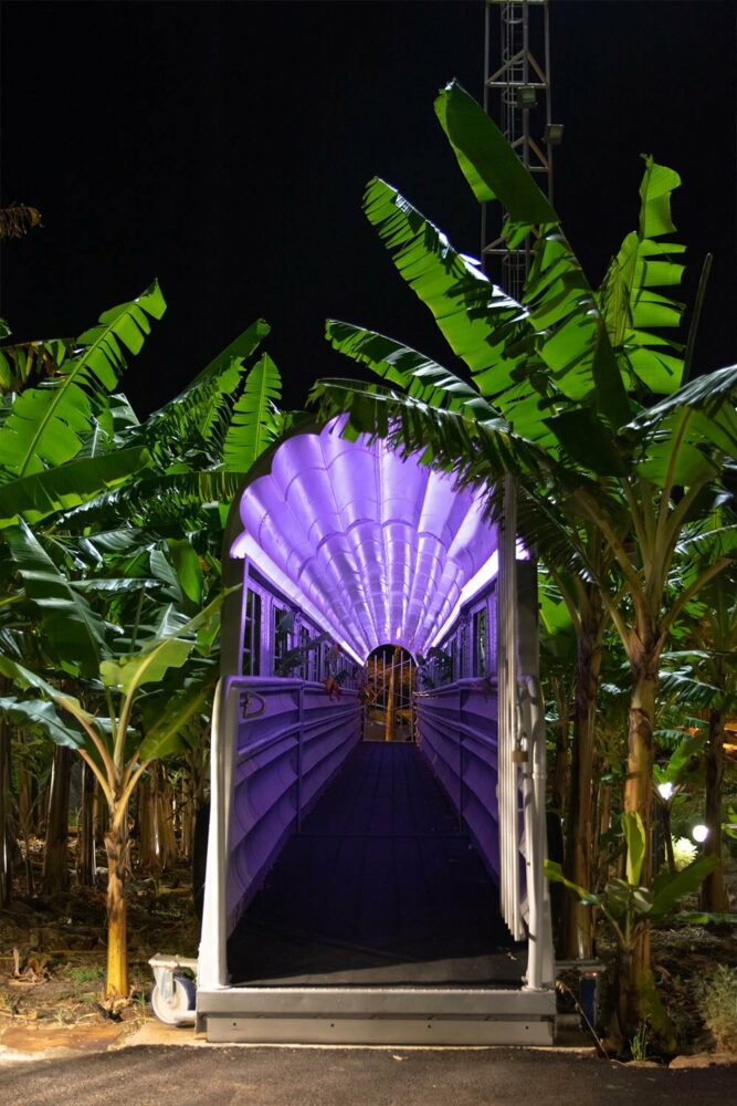 image ©Anna Tatarzynska