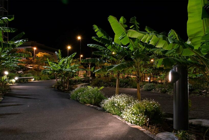 image ©Anna Tatarzynska