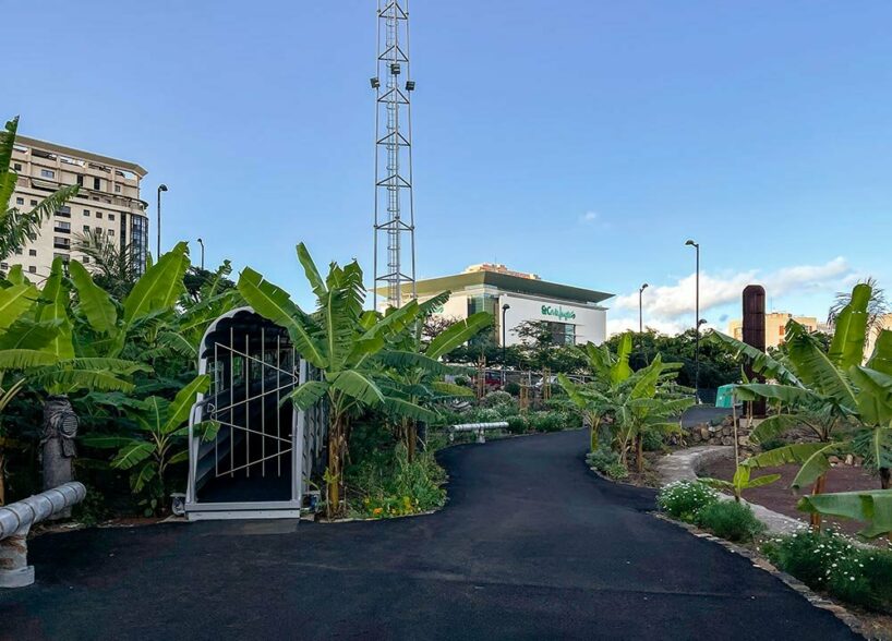 image ©Hisao Suzuki