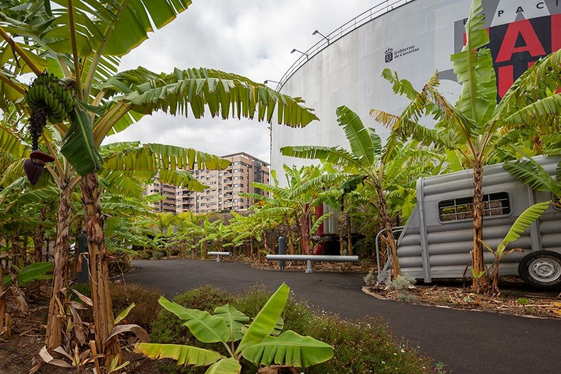 new banana garden by fernando menis takes over former oil tank in the canary islands