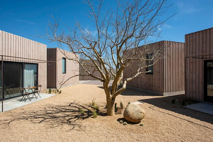 the central patio points inwards to an endemic tree