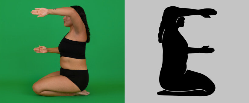 meng shui project body type