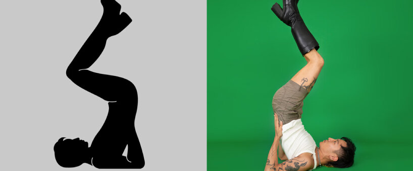 meng shui project body type