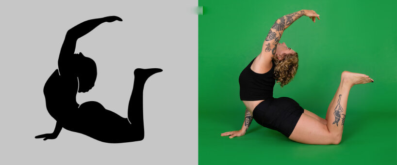 meng shui project body type