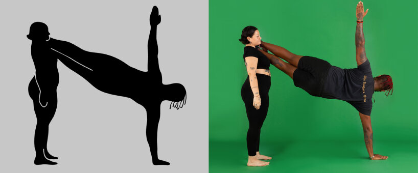 meng shui project body type