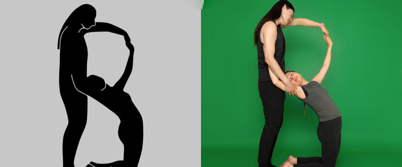 meng shui project body type