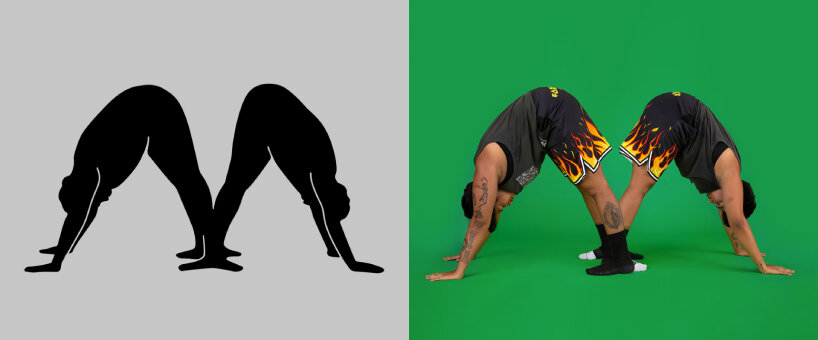 meng shui project body type