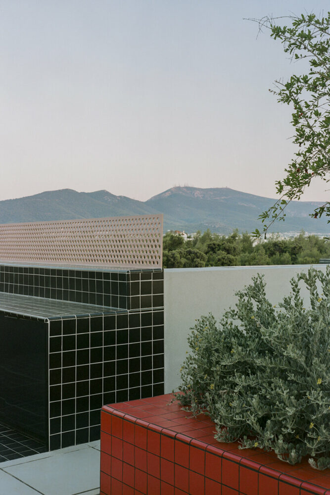 image © Lorenzo Zandri