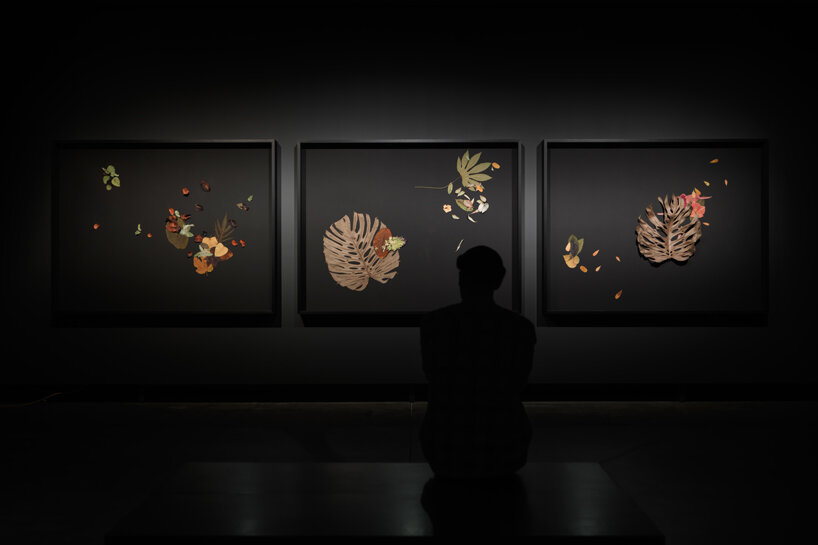 tomás saraceno exhibits oceans of air at MONA in tasmania