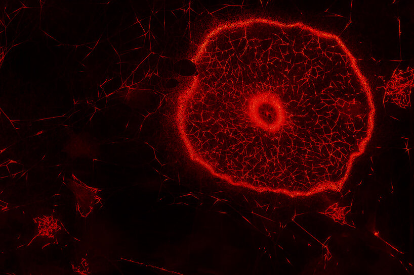 tomás saraceno exhibits oceans of air at MONA in tasmania